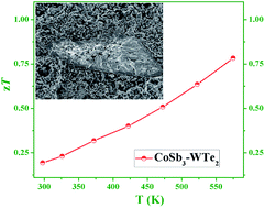 Graphical abstract: Enhancing the thermoelectric performance of nanosized CoSb3via short-range percolation of electrically conductive WTe2 inclusions