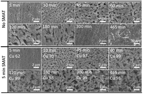 Graphical abstract: Bulk monolithic electrodes enabled by surface mechanical attrition treatment-facilitated dealloying
