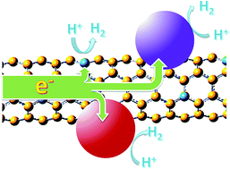 Graphical abstract: Phosphorus doped single wall carbon nanotubes loaded with nanoparticles of iron phosphide and iron carbide for efficient hydrogen evolution