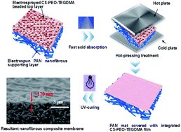 Graphical abstract: Low pressure UV-cured CS–PEO–PTEGDMA/PAN thin film nanofibrous composite nanofiltration membranes for anionic dye separation