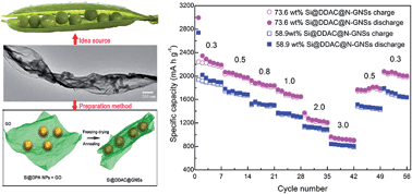 Graphical abstract: Bean pod-like Si@dopamine-derived amorphous carbon@N-doped graphene nanosheet scrolls for high performance lithium storage
