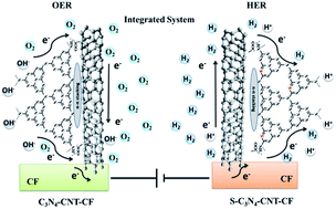 Graphical abstract: Homologous metal-free electrocatalysts grown on three-dimensional carbon networks for overall water splitting in acidic and alkaline media