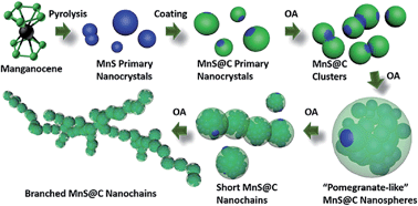 Graphical abstract: Branched carbon-encapsulated MnS core/shell nanochains prepared via oriented attachment for lithium-ion storage