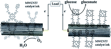 Graphical abstract: Glucose fuel cell based on carbon nanotube-supported pyrene–metalloporphyrin catalysts