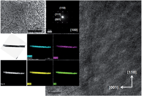 Graphical abstract: Wavelength conversion effect-assisted dye-sensitized solar cells for enhanced solar light harvesting