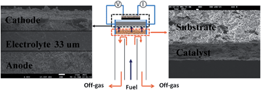 Graphical abstract: In situ fabrication of (Sr,La)FeO4 with CoFe alloy nanoparticles as an independent catalyst layer for direct methane-based solid oxide fuel cells with a nickel cermet anode