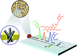 Graphical abstract: Carbon nanomaterial scaffold films with conductivity at micro and sub-micron levels