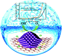 Graphical abstract: Facile synthesis and excellent electrochemical performance of reduced graphene oxide–Co3O4 yolk-shell nanocages as a catalyst for oxygen evolution reaction