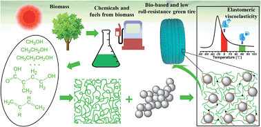 Graphical abstract: High performance bio-based elastomers: energy efficient and sustainable materials for tires