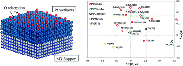 Graphical abstract: Theoretical exploration of novel catalyst support materials for fuel cell applications