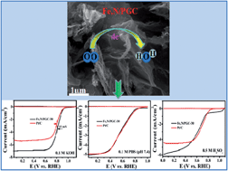 Graphical abstract: Iron and nitrogen co-doped hierarchical porous graphitic carbon for a high-efficiency oxygen reduction reaction in a wide range of pH