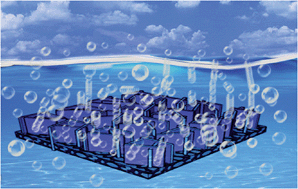 Graphical abstract: A Ni2P nanosheet array integrated on 3D Ni foam: an efficient, robust and reusable monolithic catalyst for the hydrolytic dehydrogenation of ammonia borane toward on-demand hydrogen generation