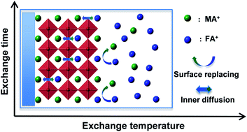 Graphical abstract: A balanced cation exchange reaction toward highly uniform and pure phase FA1−xMAxPbI3 perovskite films