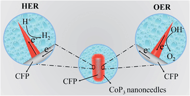 Graphical abstract: 3D structured porous CoP3 nanoneedle arrays as an efficient bifunctional electrocatalyst for the evolution reaction of hydrogen and oxygen