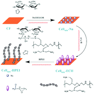 Graphical abstract: Rapid and effective preparation of a HPEI modified biosorbent based on cellulose fiber with a microwave irradiation method for enhanced arsenic removal in water