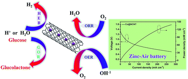 Graphical abstract: Multifunctional high-activity and robust electrocatalyst derived from metal–organic frameworks