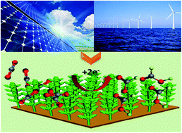 Graphical abstract: Bismuth nanodendrites as a high performance electrocatalyst for selective conversion of CO2 to formate