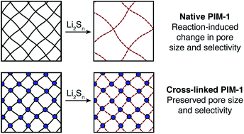 Graphical abstract: Understanding and controlling the chemical evolution and polysulfide-blocking ability of lithium–sulfur battery membranes cast from polymers of intrinsic microporosity