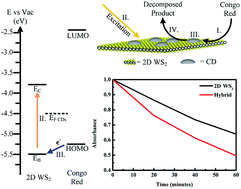 Graphical abstract: 2D WS2/carbon dot hybrids with enhanced photocatalytic activity