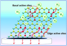 Graphical abstract: Monolayer MoS2 with S vacancies from interlayer spacing expanded counterparts for highly efficient electrochemical hydrogen production