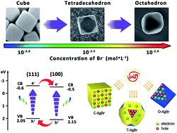 Graphical abstract: AgBr tetradecahedrons with co-exposed {100} and {111} facets: simple fabrication and enhancing spatial charge separation using facet heterojunctions