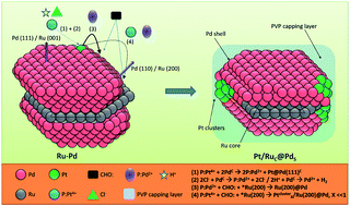 Graphical abstract: Local heterojunctions of atomic Pt clusters boost the oxygen reduction activity of Rucore@Pdshell nanocrystallites