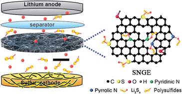 Graphical abstract: A lightweight multifunctional interlayer of sulfur–nitrogen dual-doped graphene for ultrafast, long-life lithium–sulfur batteries