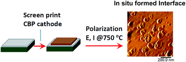 Graphical abstract: Direct application of cobaltite-based perovskite cathodes on the yttria-stabilized zirconia electrolyte for intermediate temperature solid oxide fuel cells