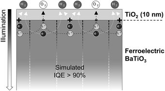 Graphical abstract: Multidomain simulations of coated ferroelectrics exhibiting spatially selective photocatalytic activity with high internal quantum efficiencies