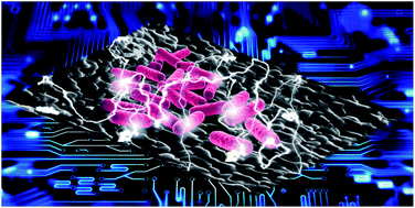 Graphical abstract: Macroporous monolithic Magnéli-phase titanium suboxides as anode material for effective bioelectricity generation in microbial fuel cells