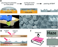 Graphical abstract: Versatile biomimetic haze films for efficiency enhancement of photovoltaic devices