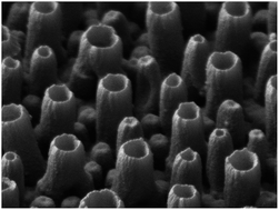 Graphical abstract: A template-free approach to nanotube-decorated polymer surfaces using 3,4-phenylenedioxythiophene (PhEDOT) monomers