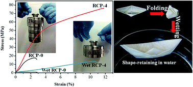 Graphical abstract: Paper reinforced with regenerated cellulose: a sustainable and fascinating material with good mechanical performance, barrier properties and shape retention in water