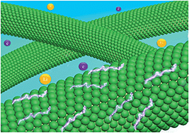 Graphical abstract: Plasma surface functionalization induces nanostructuring and nitrogen-doping in carbon cloth with enhanced energy storage performance