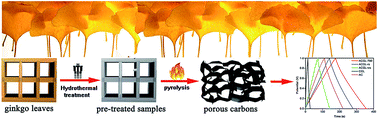 Graphical abstract: Rich sulfur doped porous carbon materials derived from ginkgo leaves for multiple electrochemical energy storage devices