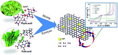 Graphical abstract: FeP embedded in N, P dual-doped porous carbon nanosheets: an efficient and durable bifunctional catalyst for oxygen reduction and evolution reactions