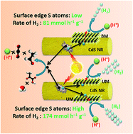 Graphical abstract: Noble metal-free ultrathin MoS2 nanosheet-decorated CdS nanorods as an efficient photocatalyst for spectacular hydrogen evolution under solar light irradiation