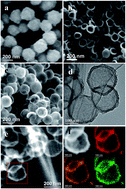 Graphical abstract: Uniform nitrogen and sulphur co-doped hollow carbon nanospheres as efficient metal-free electrocatalysts for oxygen reduction