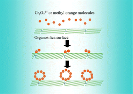 Graphical abstract: Unprecedented adsorptive removal of Cr2O72− and methyl orange by using a low surface area organosilica