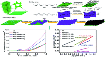 Graphical abstract: Controlled self-assembly of Ni foam supported poly(ethyleneimine)/reduced graphene oxide three-dimensional composite electrodes with remarkable synergistic effects for efficient oxygen evolution