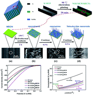 Graphical abstract: Three-dimensional tetsubo-like Co(OH)2 nanorods on a macroporous electrically conductive network as an efficient electroactive framework for the hydrogen evolution reaction