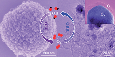 Graphical abstract: Unusual formation of tetragonal microstructures from nitrogen-doped carbon nanocapsules with cobalt nanocores as a bi-functional oxygen electrocatalyst