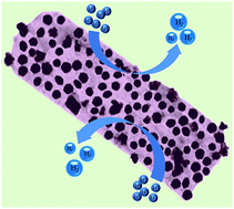 Graphical abstract: An efficient CoS2/CoSe2 hybrid catalyst for electrocatalytic hydrogen evolution