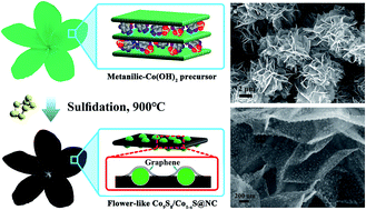 Graphical abstract: Intercalated Co(OH)2-derived flower-like hybrids composed of cobalt sulfide nanoparticles partially embedded in nitrogen-doped carbon nanosheets with superior lithium storage