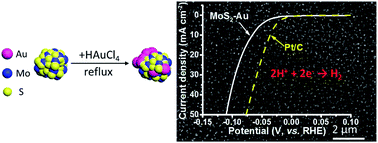 Graphical abstract: Molybdenum disulfide and Au ultrasmall nanohybrids as highly active electrocatalysts for hydrogen evolution reaction