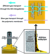 Graphical abstract: Shear-aligned graphene oxide laminate/Pebax ultrathin composite hollow fiber membranes using a facile dip-coating approach