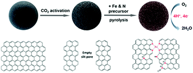 Graphical abstract: The role of pre-defined microporosity in catalytic site formation for the oxygen reduction reaction in iron- and nitrogen-doped carbon materials