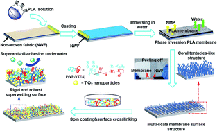 Graphical abstract: Robust superhydrophilic polylactide (PLA) membranes with a TiO2 nano-particle inlaid surface for oil/water separation