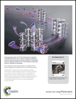 Graphical abstract: Inside back cover