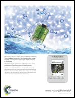 Graphical abstract: Back cover